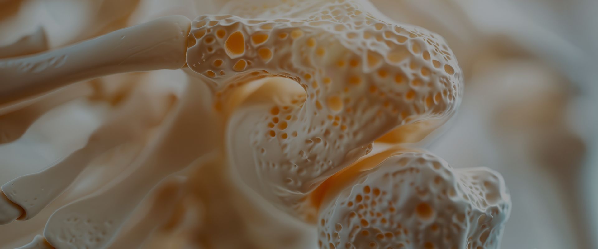 TERAPIJA MATIČNIM ĆELIJAMA