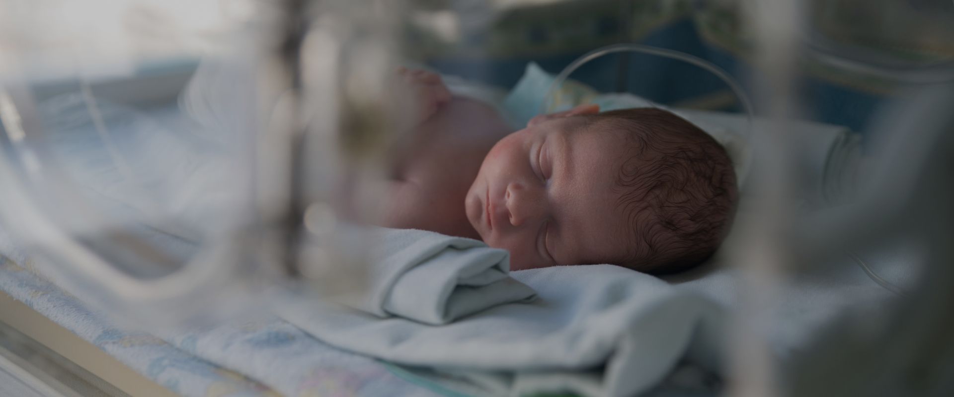 MATIČNE ĆELIJE I PREVREMENO ROĐENE BEBE