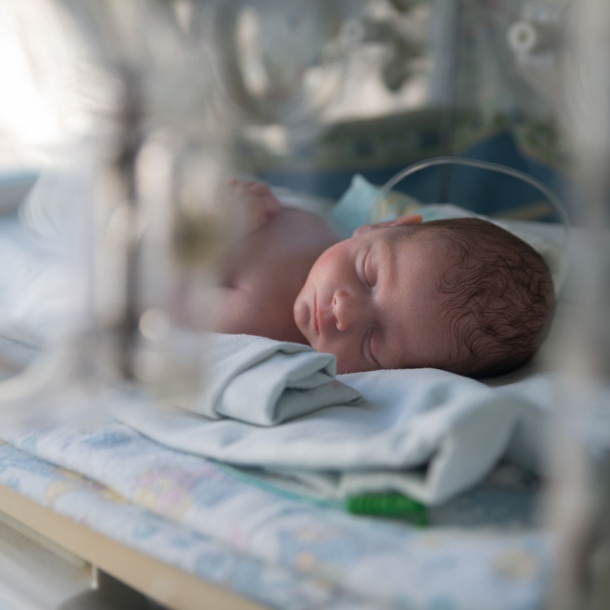 Matične ćelije kod prevremeno rođenih beba